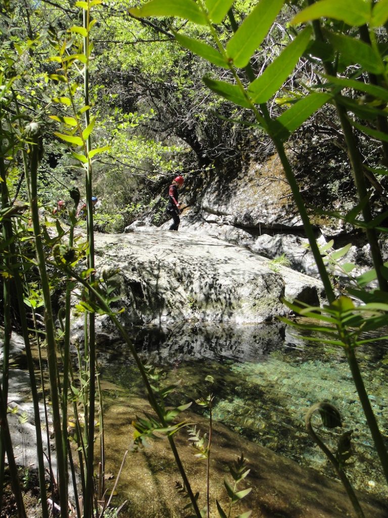 canyon-petra leccia-fougeres-canyoning-corte-corse-altipiani